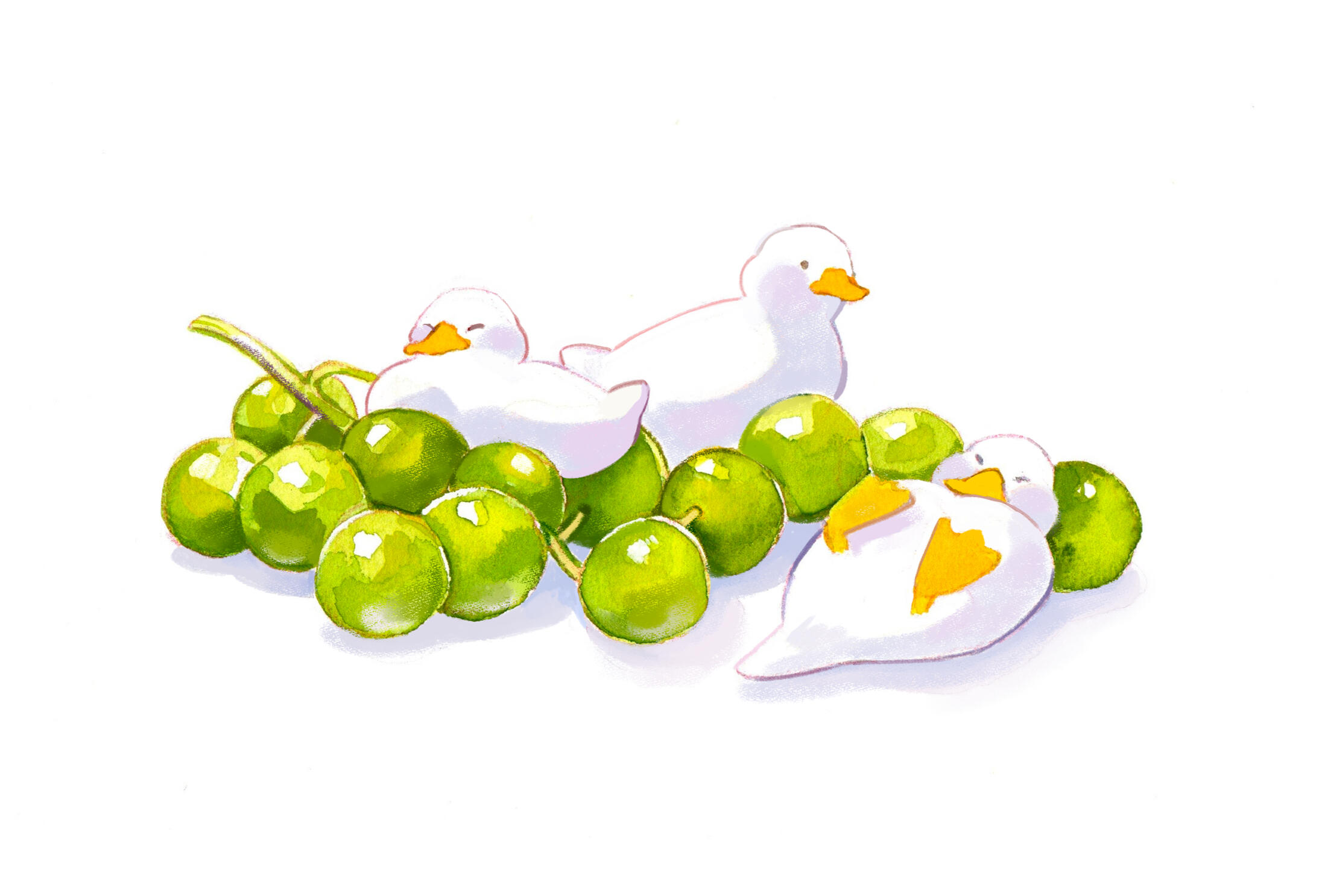 grape ducks grape ducks