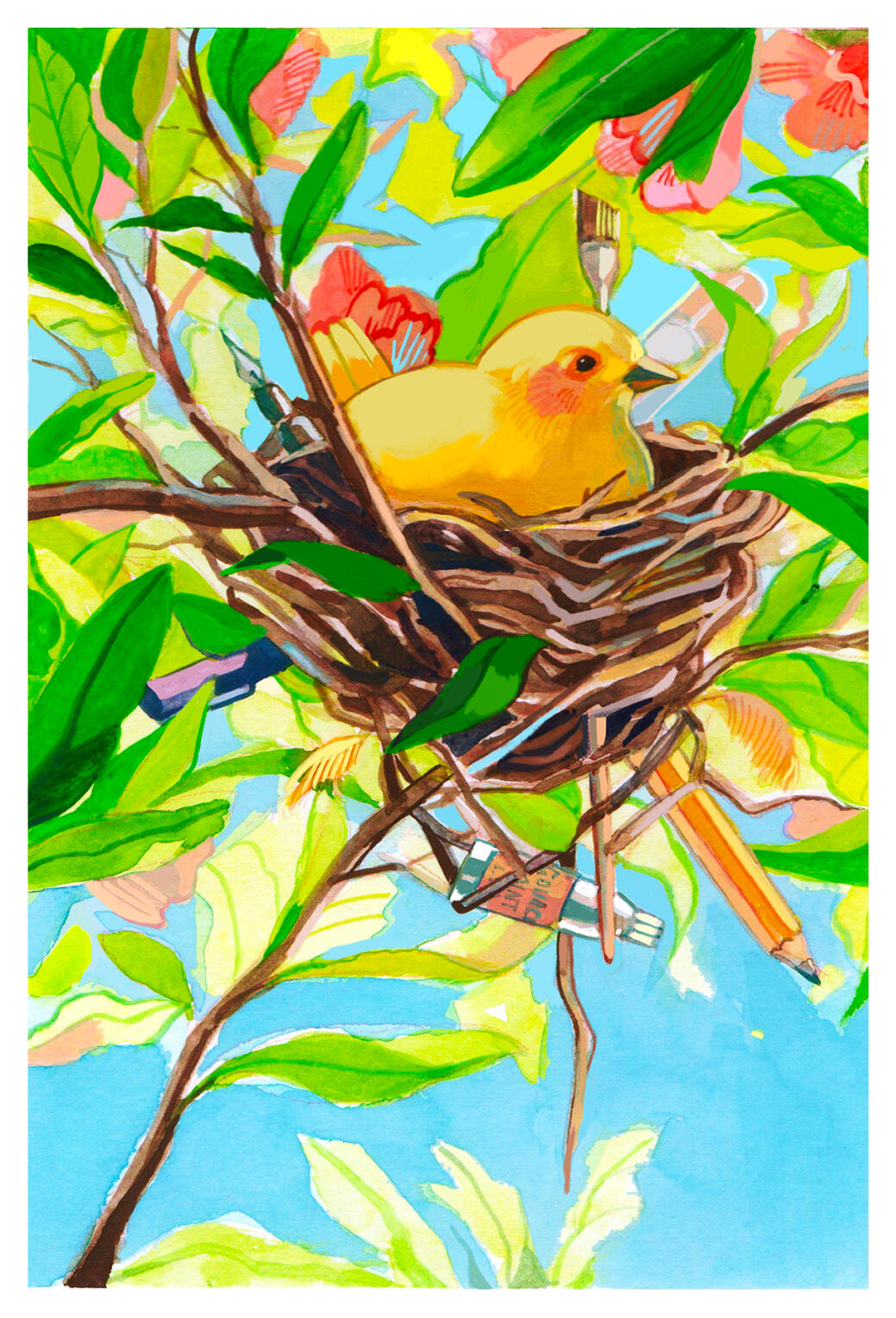 bird nest